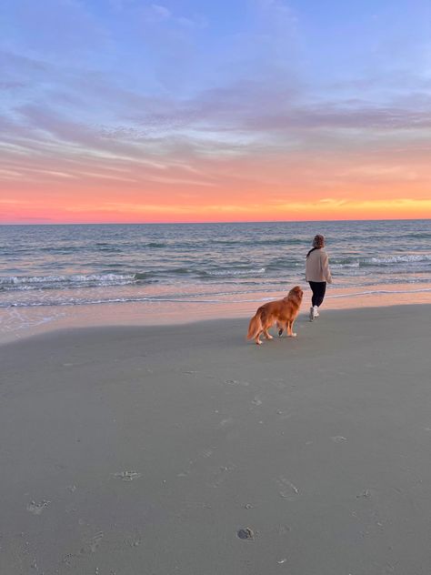 golden sunset beach aesthetic Golden Retriever Aesthetic Beach, Dog On Beach Aesthetic, Beach Dog Photos, Golden Retriever Beach, Golden Retriever Girl, Sunset Beach Aesthetic, Photos With Dog, Golden Puppy, Golden Sunset