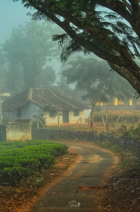 Kerala Village Photography, Indian Scenery, Photography Ideas Nature, Nature Photography Ideas, Moving Train, Nature Photography Trees, Nature Photography Tips, Village Photography, Beautiful Landscape Photography