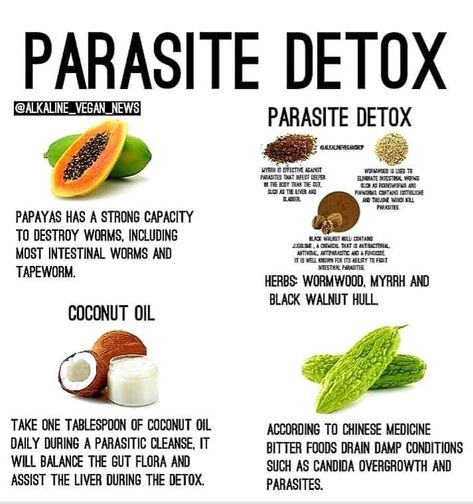 Parasite Cleanse, Herbs For Health, Alkaline Foods, Healing Food, Natural Health Remedies, Healing Herbs, Natural Medicine, Health Remedies, Herbal Remedies