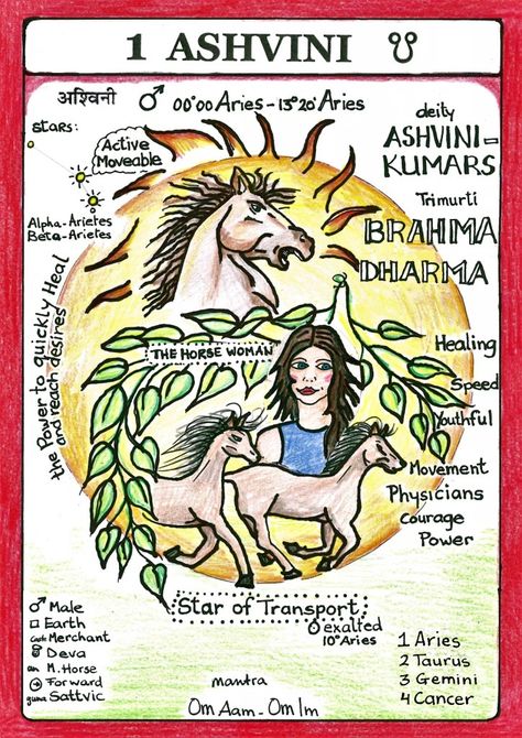 Ashwini Nakshatra, Aquarius Funny, Vedic Astrology Charts, Hindu Vedas, Astro Science, Tantra Art, Authority Figures, Moon Astrology, Jyotish Astrology