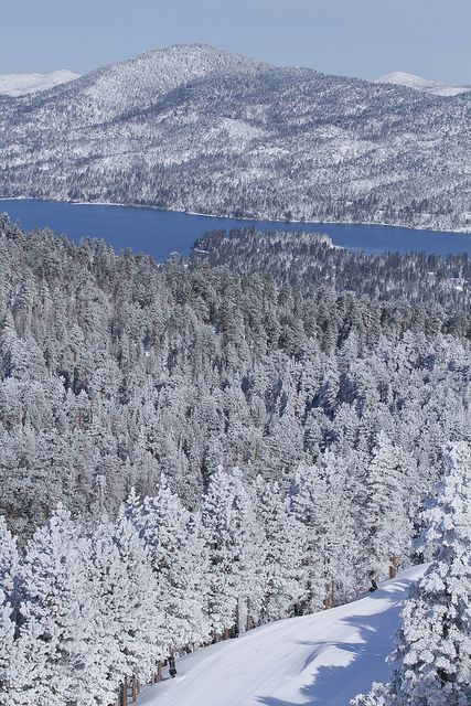 Bear Mountain by Big Bear Mountain Resorts, via Flickr Big Bear Mountain, Big Bear California, California Gold, Inland Empire, Bear Mountain, Big Bear Lake, California Dreaming, Mountain Cabin, Mountain Resort