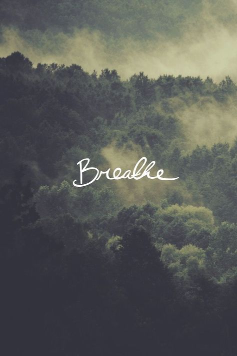 Breathe Quotes Wallpaper, Breathe Wallpaper Iphone, Just Breathe Wallpaper, And Breathe, Breathe Wallpaper, Nature Is Healing, Happy Holi Video, Bible Quotes About Faith, Breathe Quotes