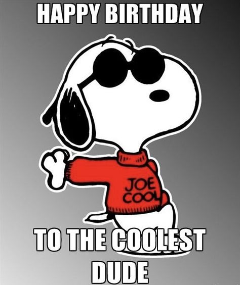 Happy Birthday Joe, Snoopy Joe Cool, Snoopy Birthday, Funny Vinyl Decals, Joe Cool, Happy Birthday Images, Birthday Images, Happy Birthday Wishes, Birthday Wishes