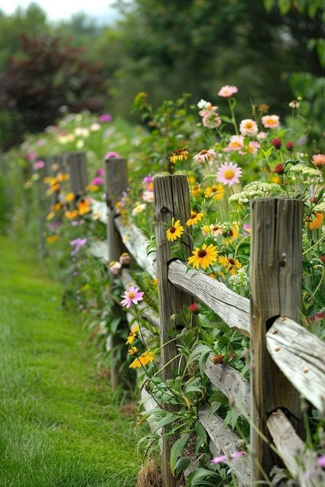 Wooden Garden Fence, Animal Expressions, Garden Fence Ideas, Have Inspiration, Caught On Camera, Love Garden, Fence Ideas, Wood Fence, Garden Fencing