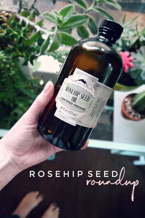 Rosehip Seed Oil Recipes, Mountain Rose Herbs, Skincare Blog, Rosehip Seed Oil, Diy Remedies, Diffuser Recipes, Aromatherapy Diffuser, Skin Benefits, Skin Care Recipes