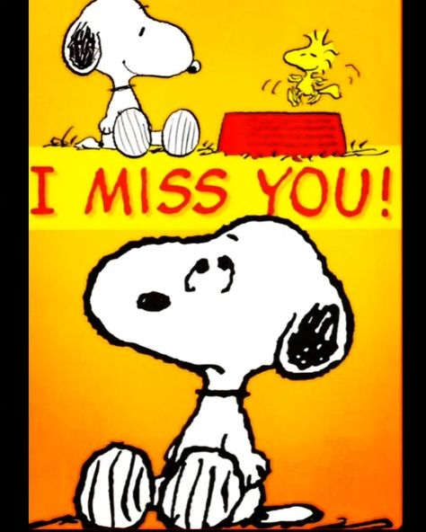 @jst_charli I Miss U Soooo Muuch & I Wish you were Here. 💖💗💖💗💖💗💗💗💖💗 •••••••••••••••••••••••••••••••• • By: Snoopy 4ever • #bestfriends #howiwishyouwerehere #youwerethebest #moments #love #forgiveothers #loveothers #dountoothersasyouwouldhavethemdountoyou #kindnessmatters • #snoopy #snoopys #snoopydog #snoopylover #snooplylove #snoopylovers #jst_charli #snoopymania #snoopygrams #snoopygram #snoopyfan #snoopyfans #snoopycollection #snoopyworld #charliebrown #snoopyforever #snoopyandc Snoopy Valentine, Peanuts Charlie Brown Snoopy, Woodstock Peanuts, Snoopy Comics, Snoopy Cartoon, Miss You Already, Snoopy Funny, Cartoon Strip, Peanuts Cartoon