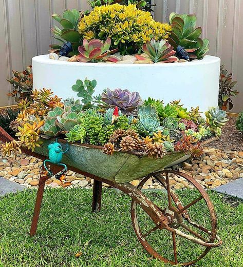 Modern Garden Design Ideas, Wheelbarrow Planter, Succulent Landscape Design, Wheelbarrow Garden, Succulent Garden Design, Succulent Garden Diy, Modern Garden Design, Succulent Gardening, Garden Design Ideas