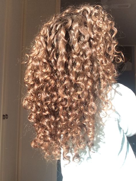 sunkissed in December Sandy Brown Curly Hair, Sun Kissed Curly Hair, Long Light Brown Curly Hair, Light Brown Curly Hair, Curly Light Brown Hair, Long Curly Haircuts, Natural Curly Hair Cuts, Brown Curly Hair, Blonde Curly Hair