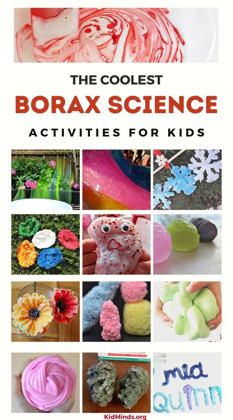 12 of the Best, Brightest, and Most Beautiful Borax Science Activities - KidMinds Borax Science Experiments, Borax Experiments For Kids, Pre K Science Experiments, Borax Experiments, Borax Crafts, Sensory Summer Activities, Pre-k Science, Borax Crystals, Stem Activities Preschool