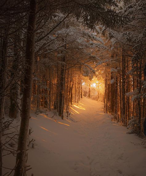 Great Smoky Mountains National Park, Smoky Mountain National Park, Snow Scenes, Winter Pictures, Winter Forest, Great Smoky Mountains, Winter Photography, Smoky Mountains, Winter Landscape