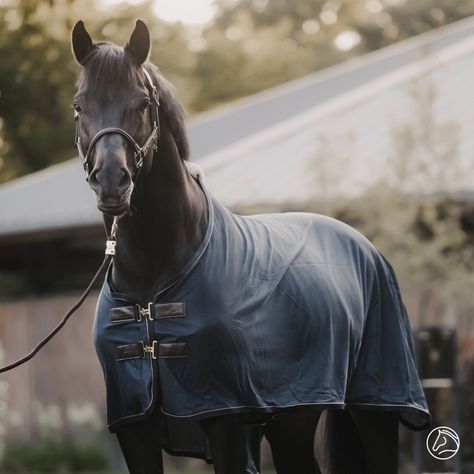 Sun, summer and... care for your horse! 🐴☀️ In our recent Academy article, we discuss four Kentucky Horsewear blankets that are ideal to use in the summer. Whether you're looking for protection against insects, help with cooling, or just a light blanket, we've got it all! 🙌 Read the full article on our Emmers Academyand make sure you and your horse are ready for a summer full of fun. Be sure to come and take a look in our Kentucky Concept Store or visit one of our other stores, see you soon... Horse Blanket Room, Horse Blanket, Boho Horse Blankets English, Foal Blanket, Horse Turnout Blanket, Horse Riding Tips, Horse Equipment, Riding Outfit, Concept Store