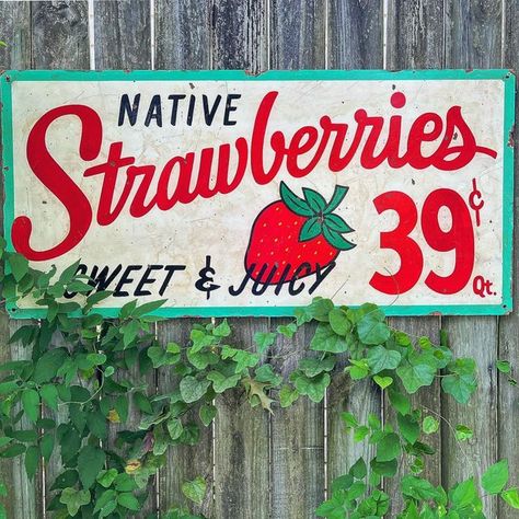 CRACKERJACK JUNK & SIGN CO. on Instagram: "SWEET & JUICY STRAWBERRIES 🍓🍓🍓 TODAY FOLKS!! #wepaintsigns #signpainting #signage #handpaintedsigns #likenoother #oneofakind #traditional #farmersmarket #strawberryfreezerjam #freshpicked #strawberryjam #homemade #cook #fleamarketstyle #farmstand #backroads #fleamarkethomeandliving #fleamarketdecor #countryliving #countrylivingmag #slhomes #bhghome #mycountryhome #texasliving #americana #farmhousedecor #farmhousekitchen #crackerjackjunkco #canyoudigi Fruit Stand Sign, Produce Signs, Strawberry Craft, Strawberry Sign, Tru Fru, Cottagecore Drawing, Strawberry Crafts, Strawberry Freezer Jam, Strawberry Stuff