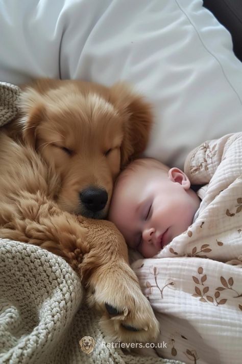 Golden Retriever With Baby, Baby And Golden Retriever, Golden Retriever Family, Lode A Dio, Golden Retriever Baby, What Have I Done, Fire Hydrants, Best Dogs For Families, Baby Pictures Newborn