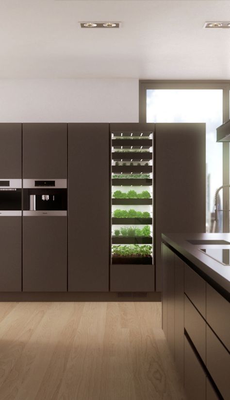 Product | Neofarms GmbH Kitchen Hydroponic Garden, Hydroponic Kitchen, Modern Kitchen Garden, Patio Garden Ideas On A Budget, Modern Kitchen Pantry, Penthouse Ideas, Wood Stove Cooking, Herb Garden In Kitchen, Healthy Products