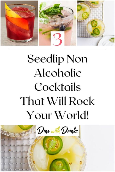 Collage of 4 seedlip non alcoholic cocktails. Seedlip Mocktail Recipes, Seedlip Grove 42 Cocktail Recipes, Seedlip Recipes, Seedlip Cocktail Recipes, Seedlip Cocktails, Non Alcoholic Spirits, Best Non Alcoholic Drinks, Alcohol Free Cocktails, Easy Mocktail Recipes