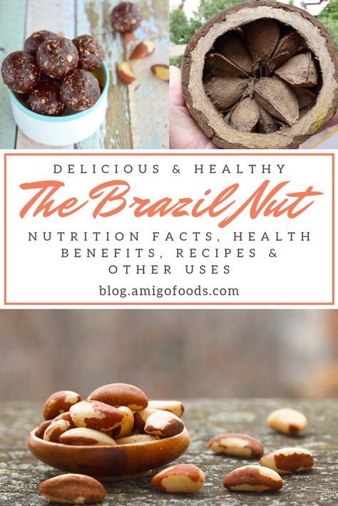 Benefits Of Brazilian Nut, Brazilian Nuts Benefits, Brazil Nuts Benefits For Women, Brazil Nuts Benefits, Brazilian Nuts, Nut Benefits, Selenium Rich Foods, Latin Desserts, Brazilian Desserts