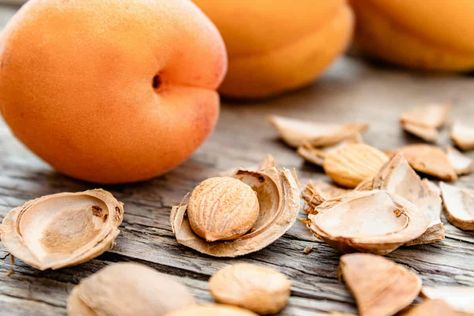 How to Plant Apricot Seeds - Minneopa Orchards Desserts Fruit, Recipes Fruit, Fruit Bearing Trees, Apricot Tree, Fruit Fruit, Salad Fruit, Apricot Seeds, Dessert Aux Fruits, Organic Compost