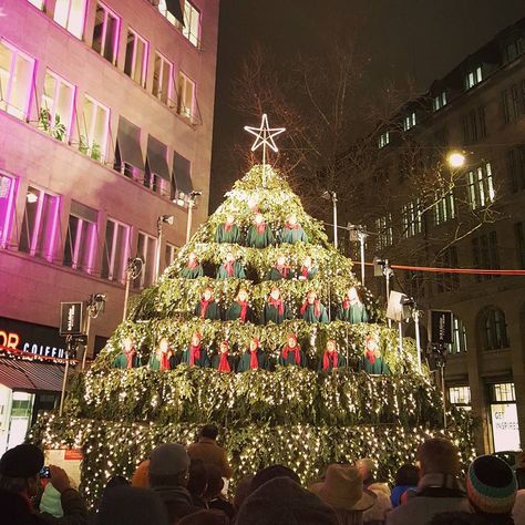 The Singing Christmas Tree in Zürich Switzerland Christmas, Singing Christmas Tree, Live Singing, New Year Fireworks, Zurich Switzerland, Christmas Carol, The Christmas, Christmas Cookies, Fireworks