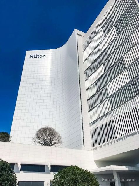 Ananti Hilton Busan, Luxury Hotel Hotel Korea, Korean Hotel, Busan Korea, Busan South Korea, Hilton Hotel, Luxury Hotels, 5 Star Hotels, Luxury Villa, Busan