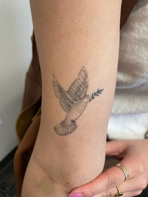 Biblical Dove Tattoo, Dove Carrying Olive Branch Tattoo, Dove Olive Branch Tattoo, Dove And Olive Branch Tattoo, Dove With Olive Branch Tattoo, Dove Olive Branch, Dove With Olive Branch, Olive Branch Tattoo, Dove Flying