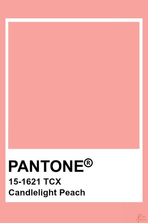 Pantone Candlelight Peach Peach Color Swatch, Peach Pantone, Pantone Tcx, Pantone Color Chart, Pantone Swatches, Peach Nectar, Pantone Palette, Pantone Colour Palettes, Peach Colour