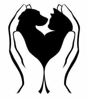 ♡lindo Dog And Cat, A Heart, A Cat, A Dog