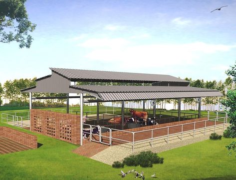 MODERN CATTLE SHEDS, PUNJAB Modern Houses Pictures, Cow Shed Design, Cattle Housing, درابزين السلم, Cattle Barn, Cow Shed, Cow House, Goat Barn, Farm Shed