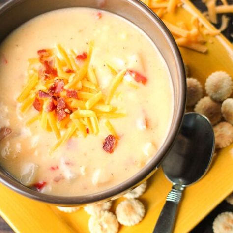 Chicken Cheddar Chowder in a bowl with cheese and bacon bits on top all on a yellow plate. Cheddar Chowder, Chicken Cheddar, Elote Recipe, Slower Cooker, Chicken Chowder, Soups Recipes, Chicken Corn Chowder, Favorite Recipes Chicken, Seafood Chowder