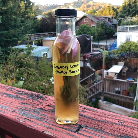 How to make flavored kombucha vinegar: -Add 1-3 tablespoons of chopped fresh herbs and spices per 1 quart of kombucha vinegar. If you choose to use dried herbs, just use 2 tsp since they are more concentrated. -Seal the bottle and let the kombucha vinegar infuse for 1-3 weeks in a dark place. -Strain out the flavorings and then you can store the kombucha vinegar in the refrigerator or on your shelf. Kombucha Vinegar, Flavored Kombucha, Herbal Vinegar, Infused Vinegars, In A Dark Place, Homemade Kombucha, Kombucha Tea, Vinegar Cleaning, Aip Recipes