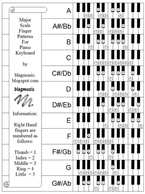 Neuromusic for Kids http://www.linkedin.com/pulse/computer-based-maths-module-elementary-music-education-sergey  NeuromusicGroup  Reflection  Ukraine Major Scales Piano, Scales Piano, Music Theory Piano, Piano Scales, Keyboard Lessons, Piano Chords Chart, Piano Classes, Blues Piano, Elementary Music Education