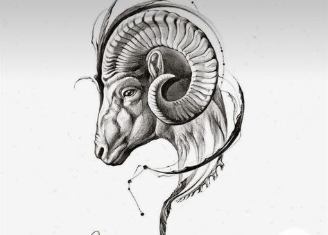 Capricorn Goat Tattoo Design, Aries Back Tattoo For Men, Realistic Ram Tattoo, Aries Geometric Tattoo, Aries Ram Tattoo Men, Rams Head Tattoo, Ram Head Drawing, Ram Tattoo For Men, Capricorn Tattoo For Men