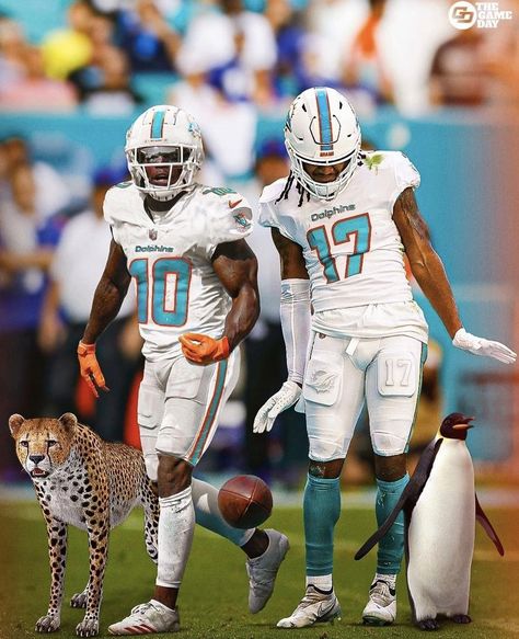 Tyreek Hill Wallpaper, Dolphins Wallpaper, Miami Dolphins Wallpaper, Hill Wallpaper, Jaylen Waddle, Tua Tagovailoa, Baltimore Ravens Logo, Tyreek Hill, Nfl Football Pictures