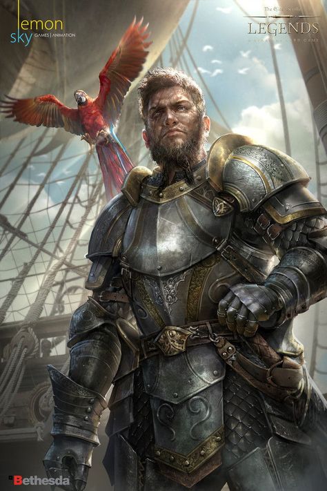 Camlorn Hero - Elder Scrolls Legends Fantasy Male, Rpg Characters, The Elder Scrolls, Fantasy Armor, Male Characters, Male Character, Arte Fantasy, Fantasy Warrior, Fantasy Rpg