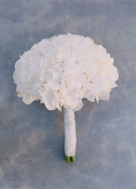 Small White Hydrangea Bouquet, Hydrangea White Bouquet, Bouquet Wedding Hydrangea, White Hortensia Bouquet, Babysbreath Hydrangea Bouquet, White Hydrangea Bridesmaid Bouquet, Simple Hydrangea Bouquet, White Hydrangea Wedding Aisle, White Wedding Hydrangeas