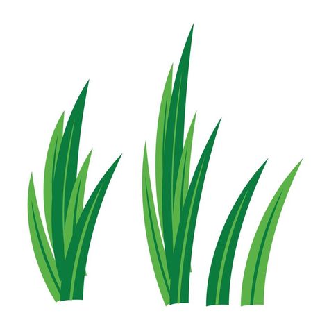 greem pandan leaves vector design Pandan Leaves, Daun Pandan, Leaves Illustration, Leaf Drawing, Cow Calf, Leaves Vector, Sign Ideas, Wood Sign, Vector Design