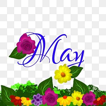 may,lettering,typography,flower,hello may,letter,calligraphy,worker,month,english,1 may,may clipart,holiday,may day,workers day,hello,flower vector,hand lettering,bullet journal,cute,local lettering,decorative,handwritten May Clipart, May Lettering, Letter Calligraphy, Flower Typography, Leaf Invitations, Journal Cute, Sai Baba Hd Wallpaper, Green Leaf Background, Workers Day