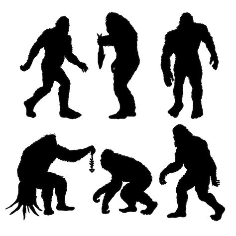 Free vector flat design bigfoot silhouet... | Free Vector #Freepik #freevector #bigfoot #animal-silhouette #collection #animal-collection Bigfoot Silhouette, Logo Psd, Technology Icon, Animal Silhouette, Card Banner, Poster Invitation, Presentation Template Free, Cartoon Clip Art, Christmas Designs