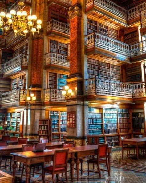 Hogwarts Library, Law Library, Dream Library, Beautiful Library, Library Room, Home Libraries, The Ceiling, Home Library, Book Nooks