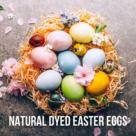 Dyed eggs are a fun and colourful DIY to spruce up your home for Easter, and it's a project that can be done with items you already have on hand.

Not only will this leave you with beautiful, rustic looking eggs, but you can even utilize kitchen scraps, meaning that these eggs are still safe to eat! Dyed Easter Eggs, Shea Butter Recipes, Dyed Eggs, Naturally Dyed Easter Eggs, Kitchen Scraps, Egg Dye, Easter Egg Dye, Spruce Up Your Home, Pepper Powder