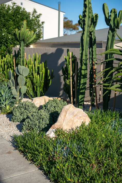 With Carpobrotus Glaucescens, Crassula Bluebirds, and sandstone boulders, we've curated a water-wise haven that thrives in the sun-soaked embrace.   Design by: Inspired Exteriors Desert Gardens, Landscape Garden Design, Landscaping With Boulders, Dry Garden, Construction Firm, Landscape Construction, Desert Garden, Landscape Garden, Landscape Architects