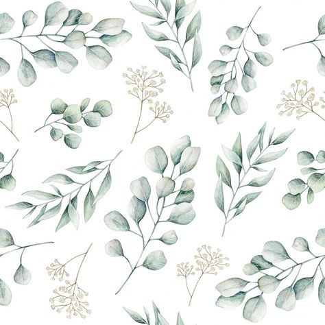 Eucalyptus Background, Eucalyptus Background Wallpapers Laundry Room, Eucalyptus Background Wallpapers, Eucalyptus Wreath Background, Eucalyptus Pattern, Hand Drawn Eucalyptus, Eucalyptus Illustration Botanical, Room Layout Planner, White Branches