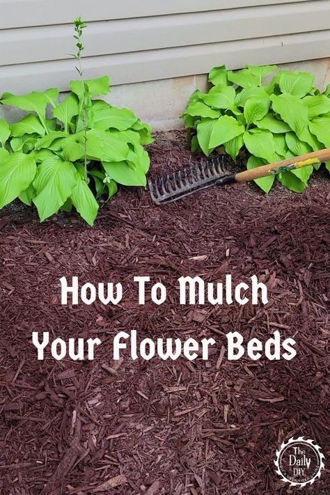 Step By Step How To Lay Down Mulch Large Mulch Bed Around Tree, How To Add Mulch Flower Beds, How To Plant Flowers In Mulch, Dark Mulch Landscaping Flower Beds, Mulch Bed Edging Ideas, Soil Prep For Flower Beds, Mulch Landscaping Ideas Around House, How To Prepare Flower Beds For Planting, How To Mulch Landscaping