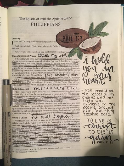 🐢Pinterest:hannahb37 Christy Miller, Studying Ideas, Bible Studying, Paul The Apostle, Forever Friends, King James Version, The Covenant, Friends Forever, Bible Journaling