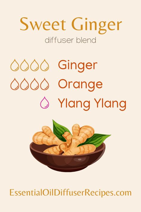 The Sweet Ginger essential oil diffuser blend contains ginger, orange, and ylang ylang essential oils. Copycat Candle Scent Recipes, Ginger Essential Oil Blends, Essential Oil Gift Basket, Candle Scents Recipes, Diffuser Oils, Mint Essential Oil, Essential Oil Combinations, Essential Oil Diffuser Blends Recipes, Young Living Essential Oils Recipes