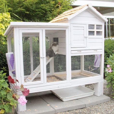 Mini Holland Lop - New rabbit hutch / rabbit hutch / bunny cage / rabbit cage / cottage style Tapsi Hapsi, Diy Bunny Cage, Rabbit Hutch Plans, Indoor Rabbit Cage, Diy Rabbit Hutch, Lop Bunnies, Outdoor Rabbit Hutch, Holland Lop Bunnies, Rabbit Enclosure