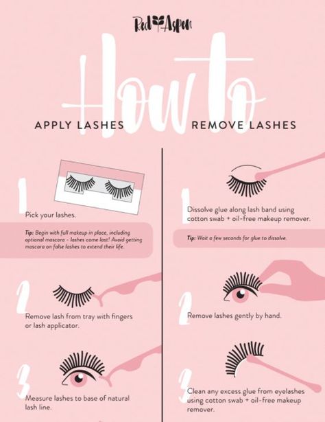 Apply Lashes, Applying False Eyelashes, Oil Free Makeup, Beauty Advice, Fake Lashes, Longer Eyelashes, Mascara Lashes, Fake Eyelashes, Lashes Makeup