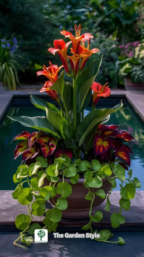 50 Pool Planter Ideas to Transform Your Pool Area Into an Oasis - The Garden Style Pool Planter Ideas, Patio Planter Ideas Plant Pots, Planters Around Pool, Pool Planters, Plants Around Pool, Pool Landscaping Ideas, Restaurant Terrace, Landscape Yard, Summer Planter