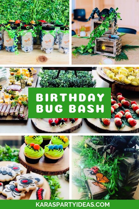 3rd Birthday Bug Party, Bugs And Insects Birthday Party, Worm Themed Birthday Party, 2nd Birthday Bug Theme, Bug Inspired Food, Bug Themed Party Decorations, Bugging Out Birthday, Bug Themed Treats, Two Year Old Bug Birthday