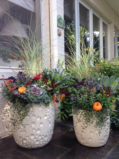 Nice and full! Fall Container Plants, Fall Flower Pots, Fall Pots, Front Door Planters, Planters Outdoor, Large Outdoor Planters, Door Planter, Fall Container Gardens, Beautiful Front Doors