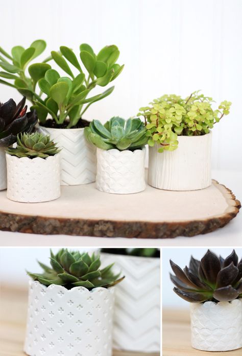 Air Dry Clay, Damask Love Stamped Clay, Indoor Succulent Planter, Air Dry Clay Projects, Tanah Liat, Succulents Indoor, Diy Stamp, Deco Floral, Cool Diy Projects, Dry Clay